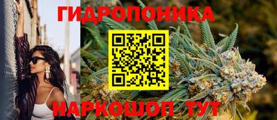 индика Бузулук