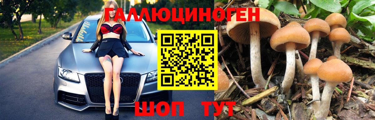 Котельники  Псилоцибиновые грибы MAGIC MUSHROOMS  Вход с VPN  купить закладку  Псилоцибиновые грибы GOLDEN TEACHER 