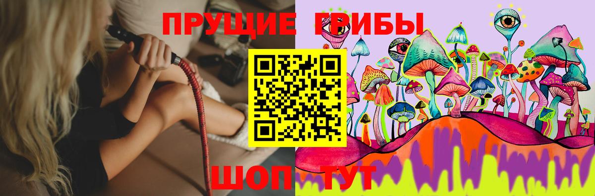 Галлюциногенные грибы GOLDEN TEACHER Котельники